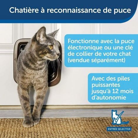 Chatière - - 4 positions avec tunnel - Brun - Taille XL - Pour chat (1/4)