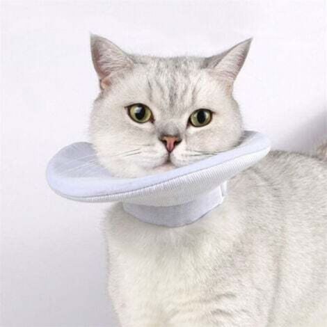 Cat protective collar