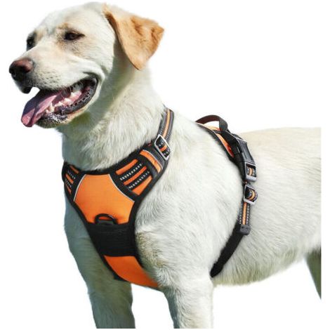 Harnais pour Chiens L Réfléchissant Anti-Traction avec Poignée Contrôle (1/4)