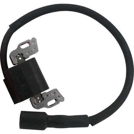 Brigg & Stratton Bobina elettronica Power Built OHV verticali 21R600 21R700 (1/3)