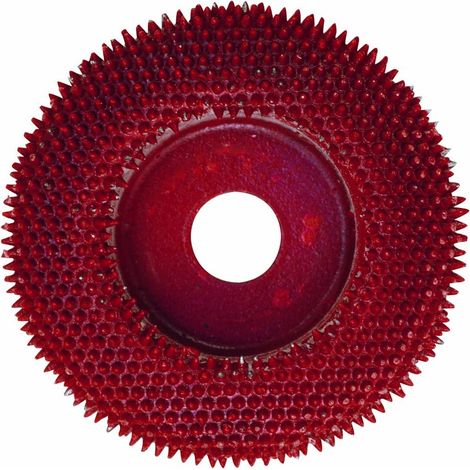 Proxxon 29050 Raspelscheibe mit Metallnadeln für Langhalswinkelschleifer LWS LHW