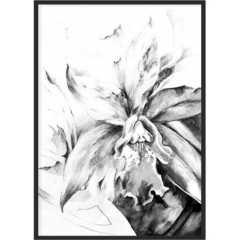 Póster con marco 53x73 cm Flor P1099 (1/4)