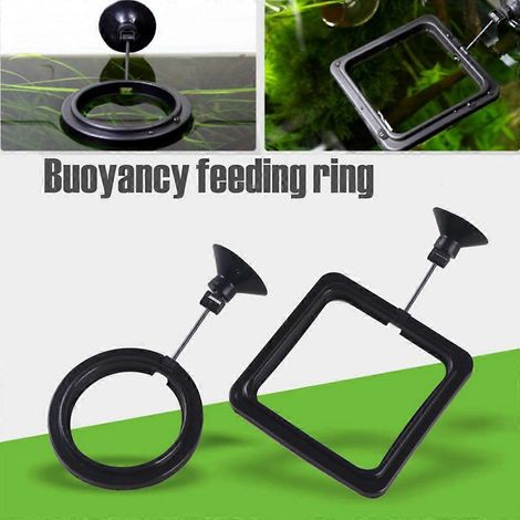 Anneau d'alimentation pour poissons rouges, distributeur de nourriture flottant pour aquarium, 2 formes, noir et carré. (1/4)