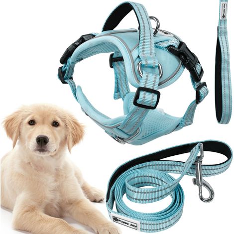 GUINZAGLIO E PETTORINA PER CANE PJ-062 BLUE L