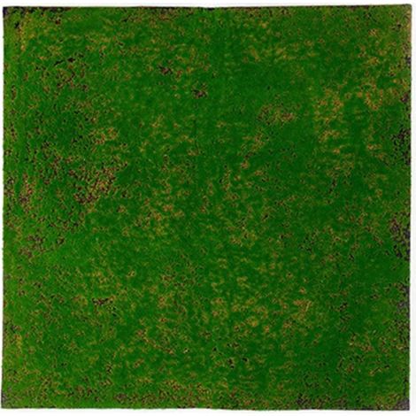 1 Pièce Tapis de mousse artificielle, aspect réaliste, matériau durable, pour décoration intérieure et extérieure (1/5)