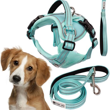 Leash and harness for a dog Tutumi PJ-057 green M
