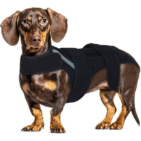 Gilet de soutien dorsal réglable pour chien Gilet de soutien de la colonne vertébrale pour IVDD disque glissé hernie discale arthrite récupération post-opératoire soulagement des (1/5)