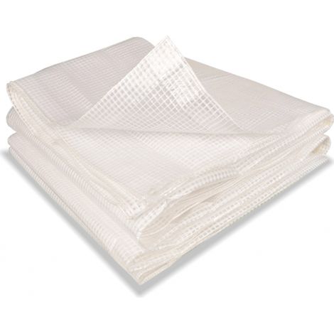 Idmarket – Bâche armée transparente 4x6 m – Polyéthylène indéchirable traité anti-UV – Pour tunnels de jardin et serres – 160 gr/m² (1/4)