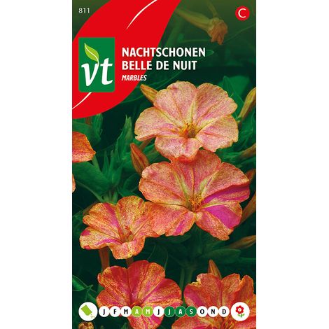 Belle De Nuit Marbles - Ca. 1,5 gr (Livraison Gratuite) (1/2)