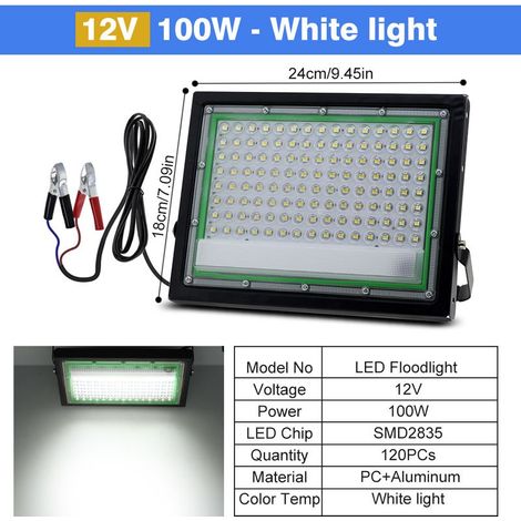 Projecteur LED extérieur 220 V, IP65 étanche, 100 W, lumière d'ambiance blanche, alimentation DC 12 V, avec pinces crocodile