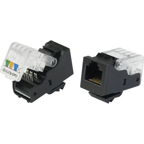 TRU COMPONENTS 93014c936 Modularbuchse, werkzeuglos Buchse, gerade    Schwarz 1 St.