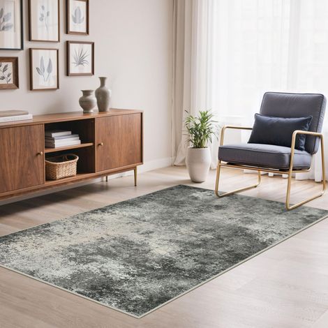 Tapis Salon Résumé Entree 80x150cm Lavable en Machine AntidéRapant Poil Ras, pour Chambre Salle a Manger Descente de Lit Bureau, Cuisine, Gris Anthracite (1/5)