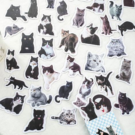 50 autocollants réalistes de chat noir et blanc, faciles à coller, pour scrapbooking, calendriers, agendas et carnets. (1/5)