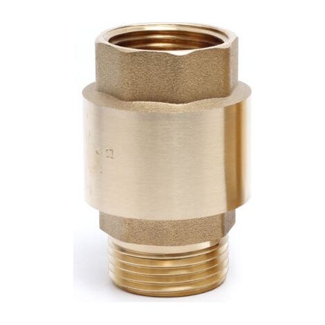Clapet anti-retour en laiton 1'' (26 x 34 mm) – Filetage plomberie pour systèmes d'irrigation – Prévention reflux d'eau