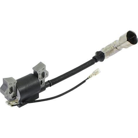 LONCIN Bobina elettronica motore 1P61F, 1P65F, 1P70F (1/3)