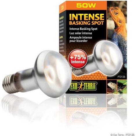 INTENSE BASKING SPOT AMPOULE 50 W EXO TERRA PT2135 (1/4)