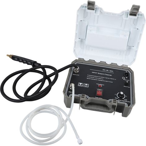 Tragbarer 1500-W-Dampfreiniger, Hochdruck- und Hochtemperatur-Dampfgerät, 220-V-EU-Stecker, multifunktionale Reinigung (1/5)