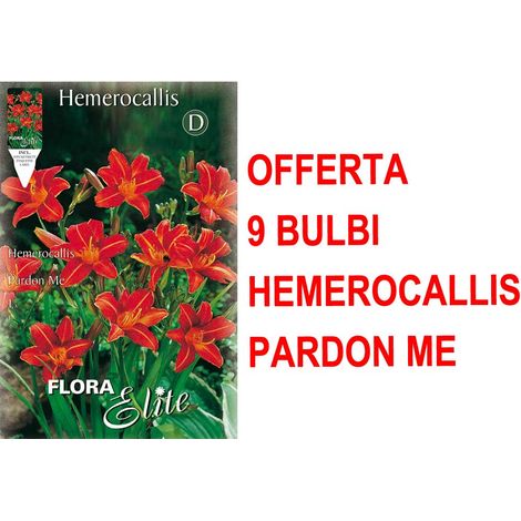 OFFERTA 9 BULBI PRIMAVERILI DI HEMEROCALLIS PARDON ME BULBO BULBS BULBES