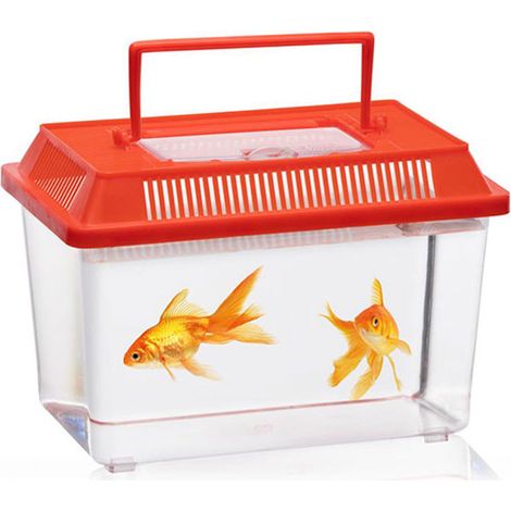 Caja para insectos colores surtidos (1/5)