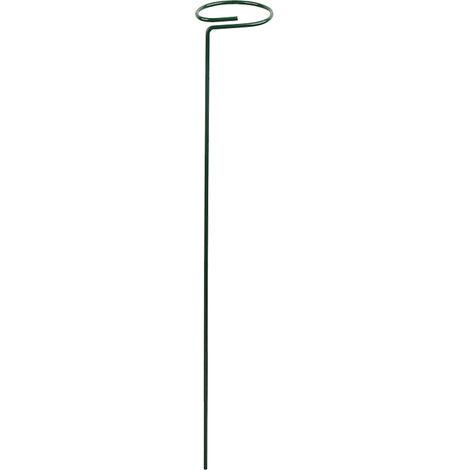 Plant Support - 30 Cm Steel Stake With Green Plastic Coating - For Single-Stem Plants Like Rose Orchid Lily Peony - 5 Pcs (1/5)
