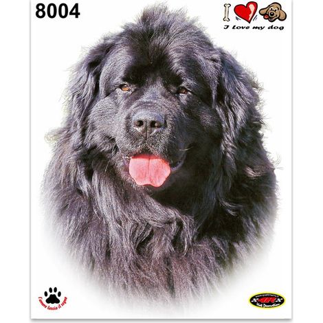 Adesivi Stickers Medi Cane Terranova 13,5 x 16 cm (1/4)