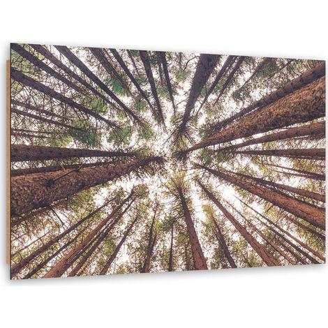 Quadro deco panel, Pini ad alto fusto - 90x60 (1/5)
