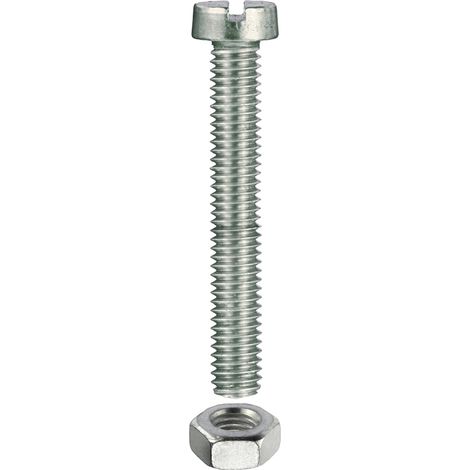 VITE METRICA TC. ZINC. M 6X100 pz6