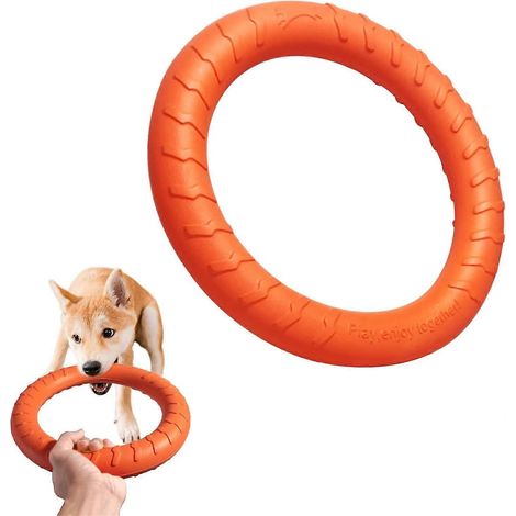 Jouet à mâcher indestructible pour chien, jouet flottant pour chien, jouet d'eau flottant, jouet de capture pour chien, jeux pour chiens, jouet indestructible, jeux pour chiens, jeux pour chiens (1/4)
