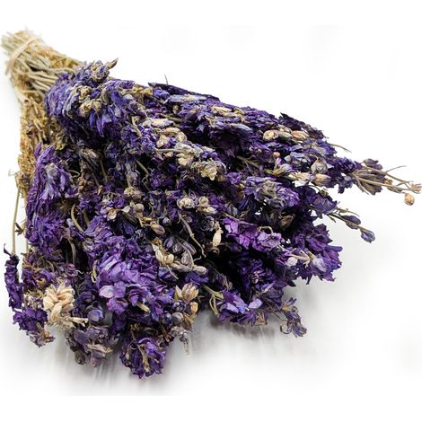 Getrockneter Rittersporn (Delphinium) – Blau (1/5)
