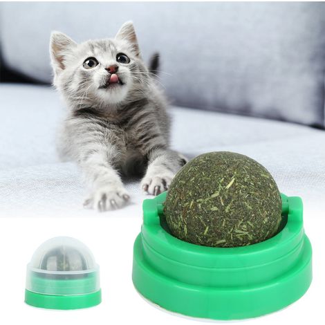 Jouet pour chat Green Pet à l'herbe à chat naturelle, alimentation saine, nettoyage des dents, accessoires pour chats (1/5)