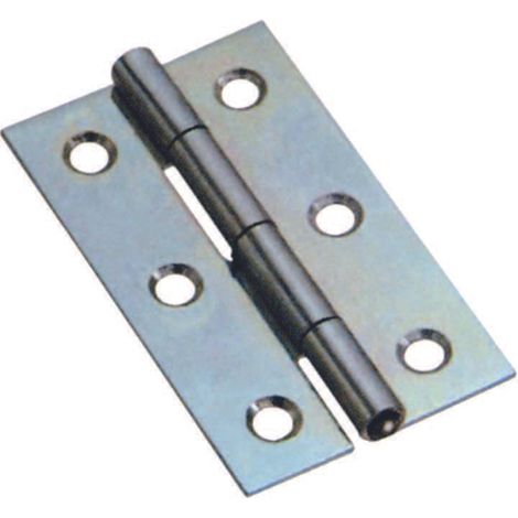 Cerniere strette perno fisso art.120 - mm.55x32x1