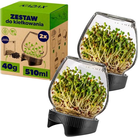 Tarro de germinación de vidrio, capacidad de 510 ml, 15 cm de altura, diseño de filtro lenticular, compatible con semillas, drenaje de agua eficiente. (1/5)