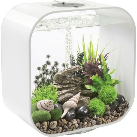 [GEBRAUCHT] B-Ware Oase Bi Orb 86386 Bi Orb Decor Set Rock Valley Aquarium Dekoration Dekosteine