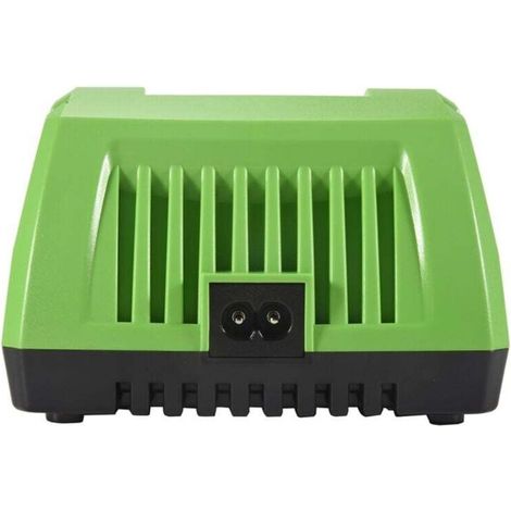 40V Lithium Battery Charger for vertWorks 29482, G-MAX Li-Ion 29472, 29652, G40825, European Plug (1/4)