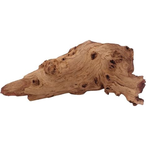 M Mopani Wurzel Nr.2751 Holz Deko Aquascaping