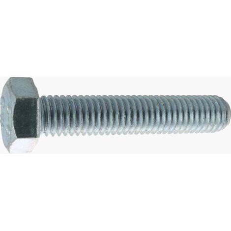 Vis Th Ft Cl 8.8 12x40