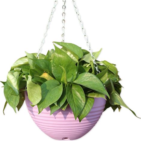 Vaso da fiori sospeso in resina, per interni - Viola