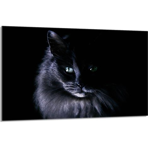 Glasschutzplatte für den Herd 80x52 Cat (1/5)