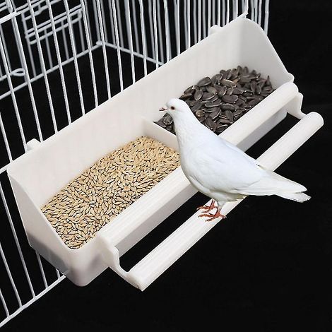 Mangeoire et abreuvoir d'extérieur en plastique pour perroquets et pigeons (1/5)