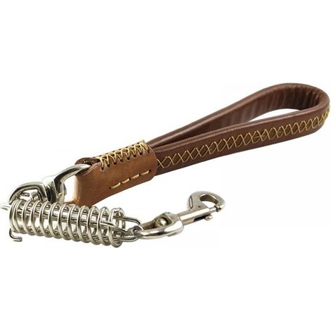 Short Dog Lead, Strong Leather Dog Leash, Carabiner, Training Lead for Pets with Clip for Medium Dogs and Walking (1/5)