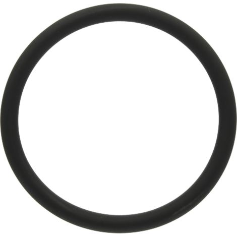 Anillo de sellado Fendt GRANIT F934201610010