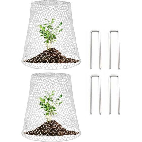 2 Pièces Cloche de Jardin, Cloche de Jardin en Fil de Fer, Cage de Protection des Plantes, Avec 10 clous en forme de U,Blanc (1/4)