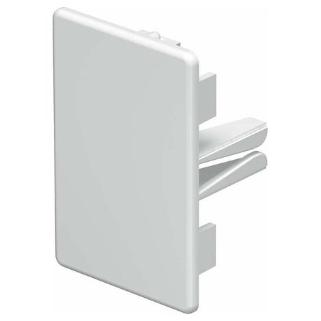 OBO Bettermann Terminal 40x60mm Cloruro de polivinilo blanco puro RAL 9010, 6193226