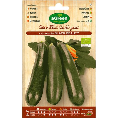 Sachet de graines de courgettes bio Black Beauty Agreen (1/3)