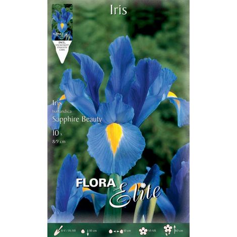 IRIS HOLLANDICA SAPPHIRE BEAUTY (CONFEZIONE DA 10 BULBI)