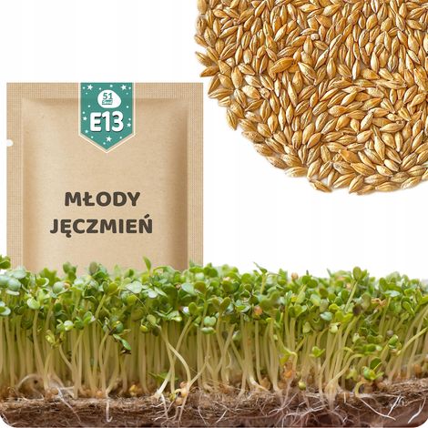 51Seed E13 SEMI DI GERMOGLI - ORZO GIOVANE 30G