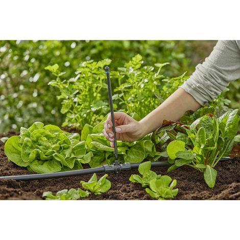 Tube prolongateur pour micro-asperseur 24 cm – Arrosage jusqu'à 40 cm – Compatible avec tuyau de 13 mm – Micro-Drip-System GARDENA