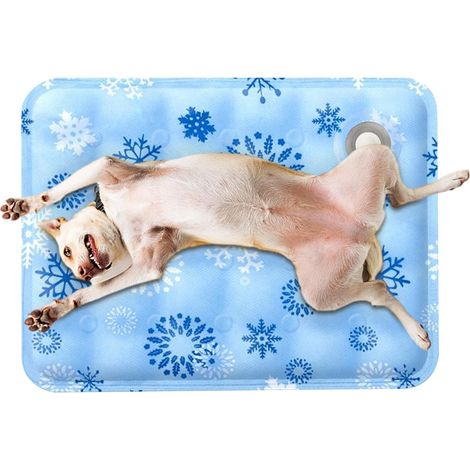 Tapis rafraîchissant pour animaux, lavable, pliable, portable, 50 x 60 cm Coussin rafraîchissant pour chats, chiens, chiots, chatons, canapé, lit, cage, siège auto, niche (1/5)