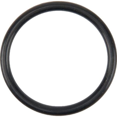 O-ring per pompa acqua MASSEY FERGUSON V614602930
