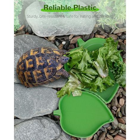 ReptilWaterschale, Water Bowl, Habitat Accessories, Water Bowl, Pet Food Plate, 2 Sizes